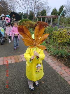 2012_1028_104335-CIMG2930.JPG