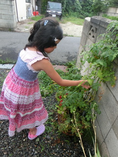 2015_0804_170825-CIMG5609.JPG