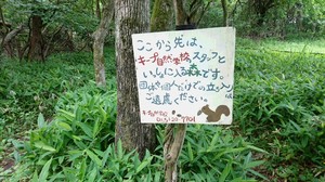 DSC_4246.JPG