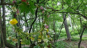 DSC_4400.JPG