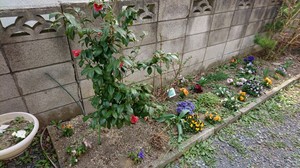 DSC_7684.JPG