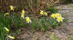 DSC_7686.JPG