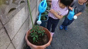 DSC_8268.JPG