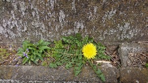 DSC_5733.JPG