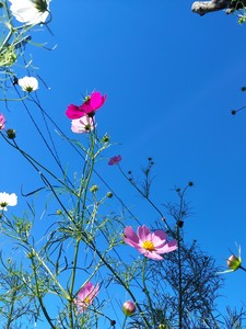 20210919_134311.jpg