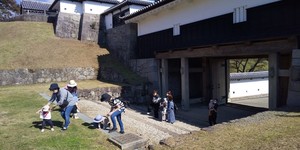 line_570187926603791.jpg