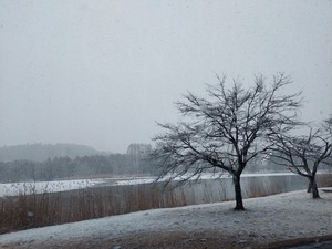 20220111_090642.jpg