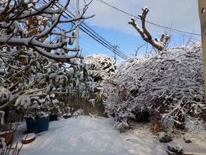 20220211_080528.jpg