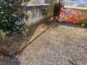 20220301_120547.jpg