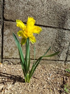 20220401_132752.jpg