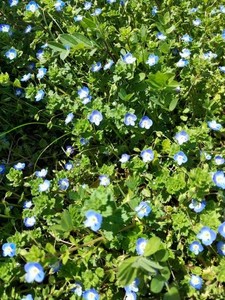 20220409_113527.jpg