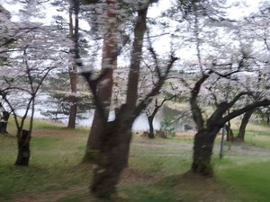 20220414_155209.jpg