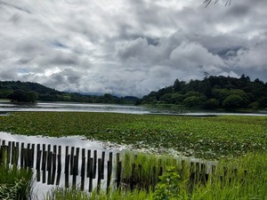20220706_155158.jpg