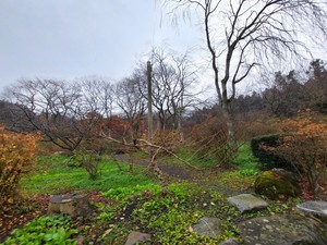 20221123_123905.jpg