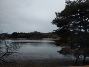 20221205_102748.jpg