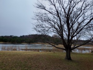 20221205_102813.jpg