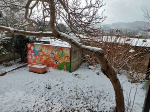 20230110_115816.jpg