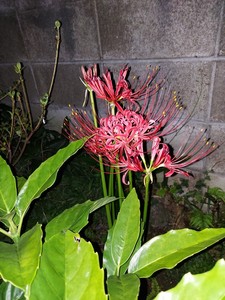 20230924_221151.jpg