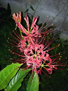 20230924_221159.jpg