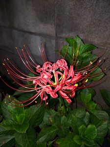 20230924_221239.jpg