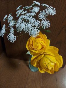 20240327_200041.jpg