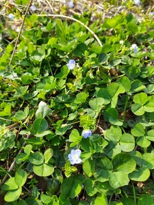 20250408_152241.jpg