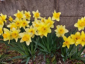 20250408_152759.jpg