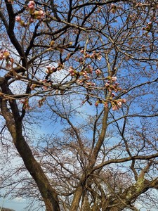 20250408_151825.jpg